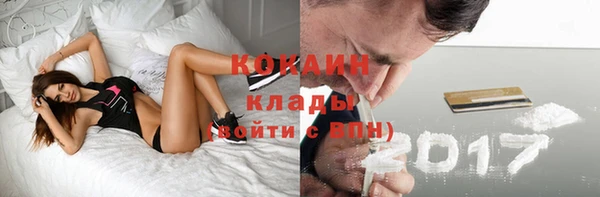 дживик Алексин