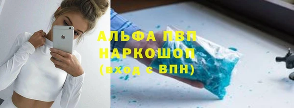 крисы Абаза