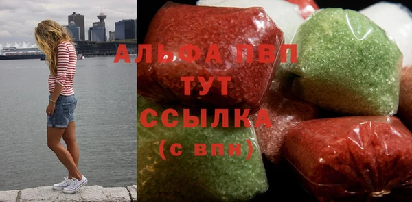 крисы Абаза