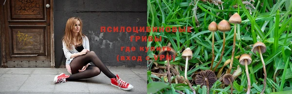 Альфа ПВП Алзамай