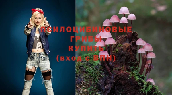 дживик Алексин