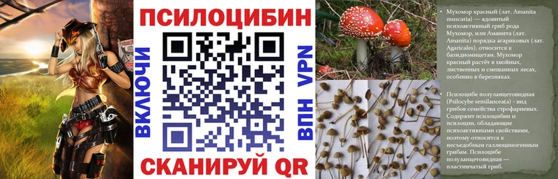 Псилоцибиновые грибы Psilocybe Сергач